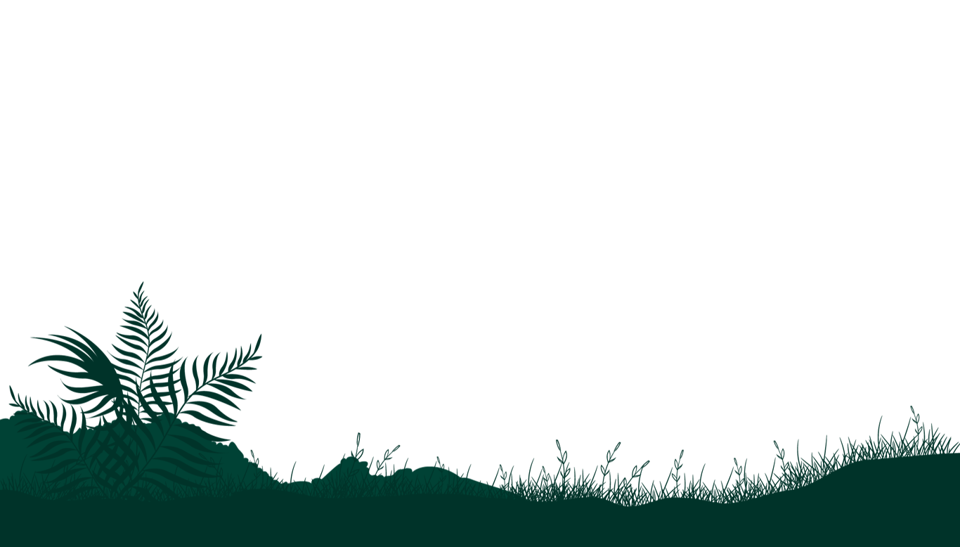parallax item